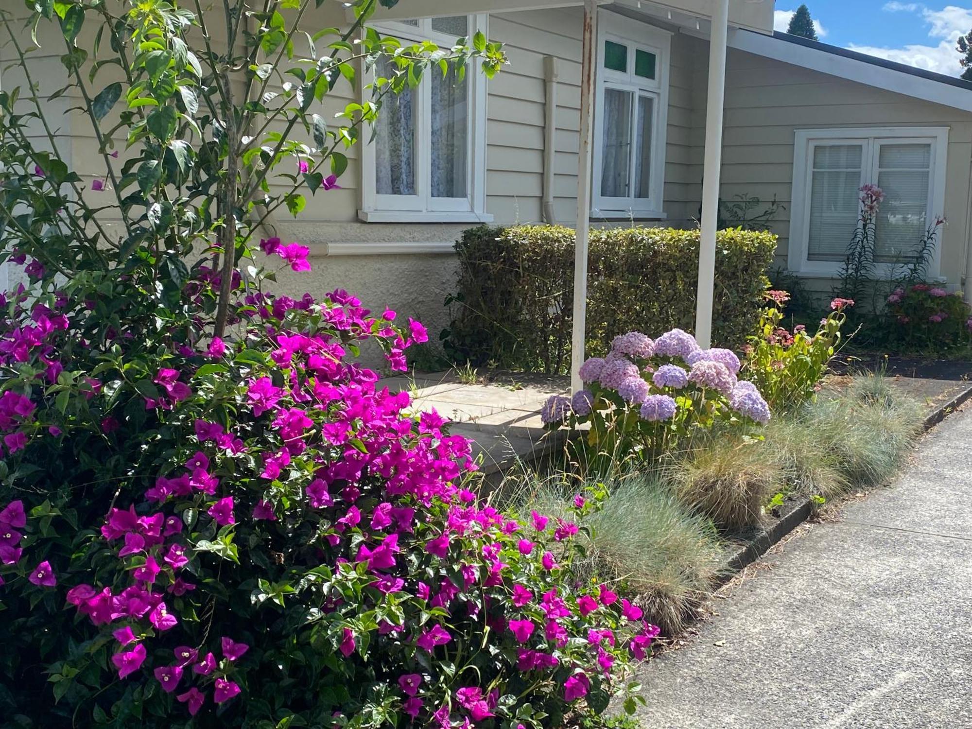 Green Garden Home Whangarei Zewnętrze zdjęcie